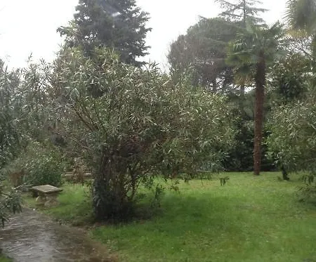 Park 3*